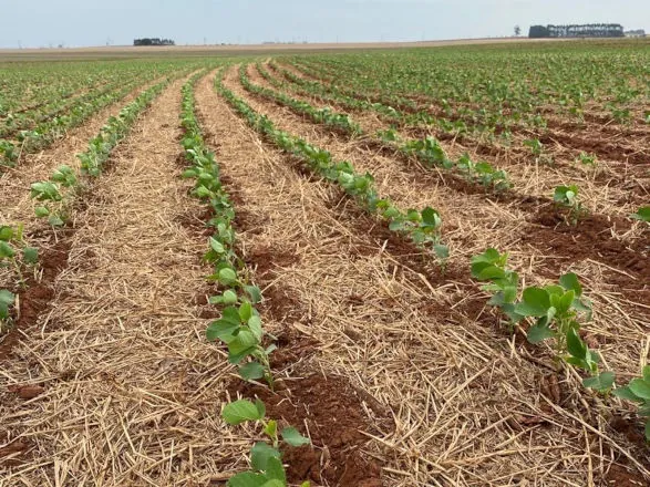 Grupo Mais, da Cocamar, promove dias de campo sobre práticas conservacionistas