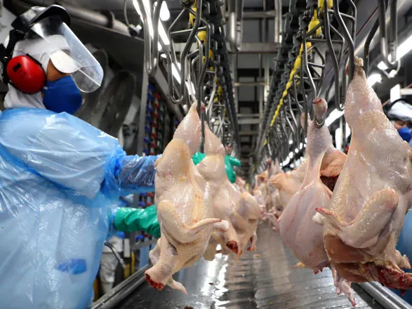 Paraná exporta alimentos e bebidas para 172 países