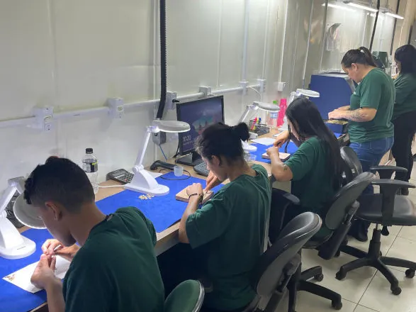 Cooperativa Capal abre 244 vagas temporárias para safristas em 5 municípios