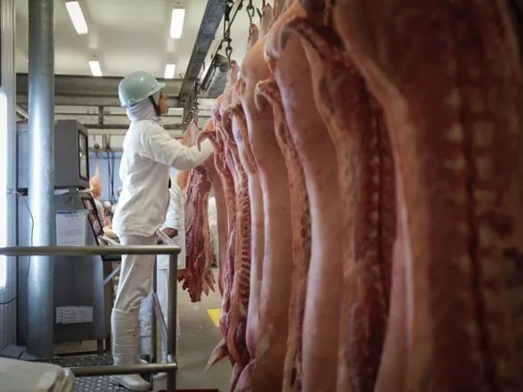 Embarques de carne suína crescem 4,7% em agosto