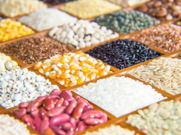Valor Bruto da Produção agropecuária atinge R$ 1,2 trilhão em agosto