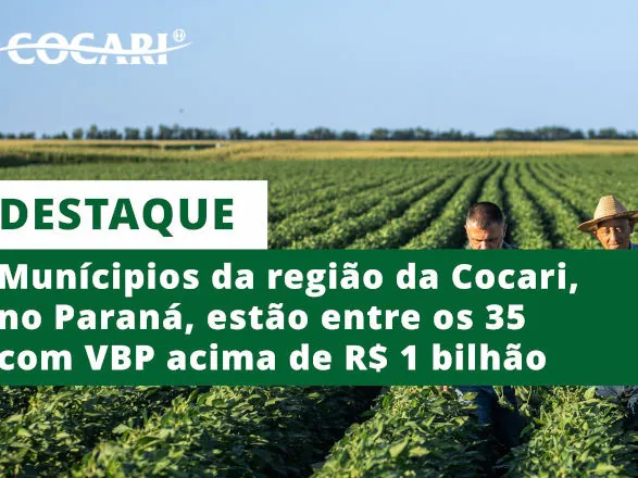 25 municípios da área da Cocari, no Paraná, estão entre os 35 com VBP acima de R$ 1 bilhão