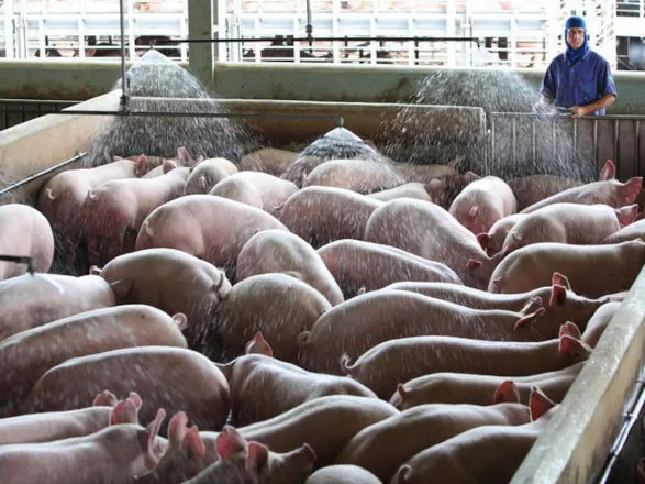 Governo Federal sanciona Lei para medidas de enfretamento de emergência fitossanitária ou zoossanitária