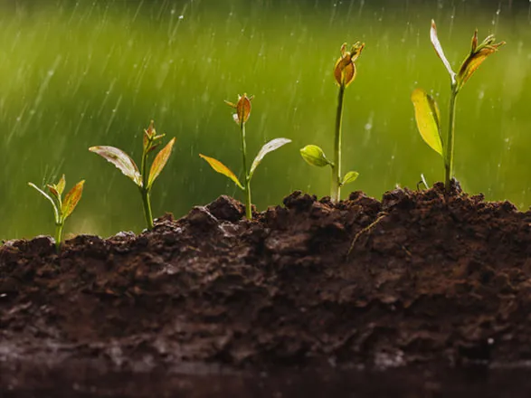 Como será o clima no Brasil em outubro?