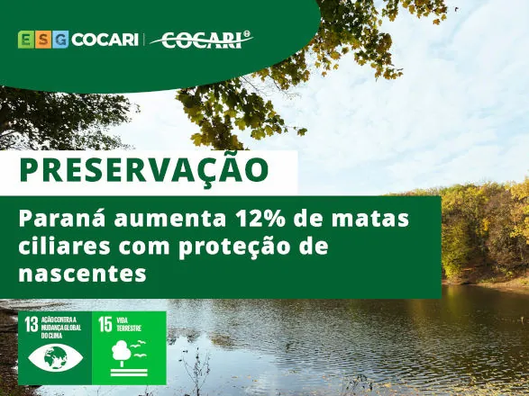 Paraná aumenta 12% de matas ciliares com proteção de nascentes; iniciativa é similar ao Projeto Olho D’água da Cocari 