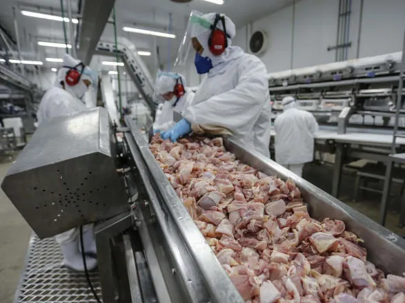 Exportações de carne de frango crescem 22,1% em setembro 