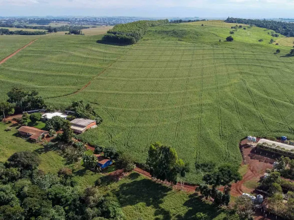 IAT reforça importância da atualização regular do Cadastro Ambiental Rural