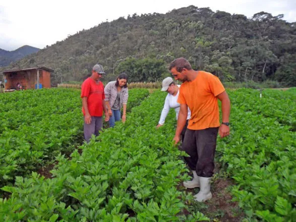 Proposta facilita crédito e seguro para agricultura familiar