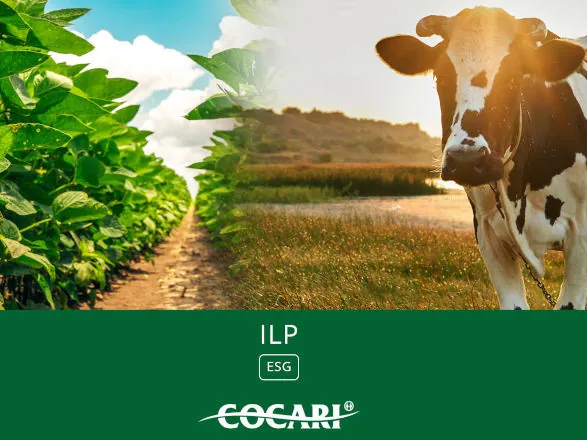 Integração entre Lavoura-Pecuária traz mais produtividade e rentabilidade para o produtor