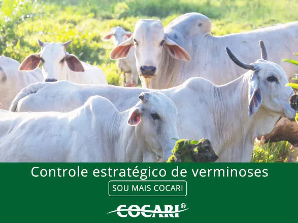 Departamento Veterinário da Cocari destaca controle estratégico de verminoses em bovinos 