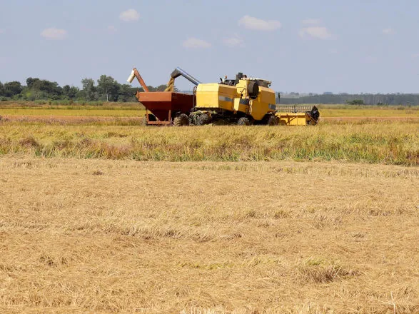 Primeira estimativa para safra de grãos 2024/25 indica produção de 322,47 milhões de toneladas