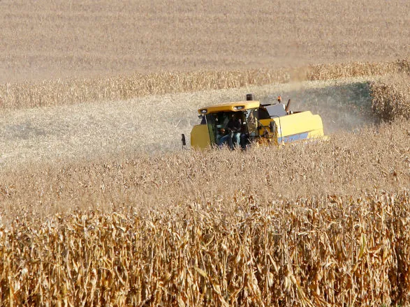 Produtores de milho do Paraná têm melhor remuneração em outubro, aponta boletim do Deral