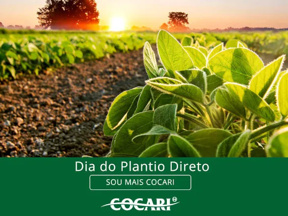 Dia do Plantio Direto; celebrando a sustentabilidade na agricultura