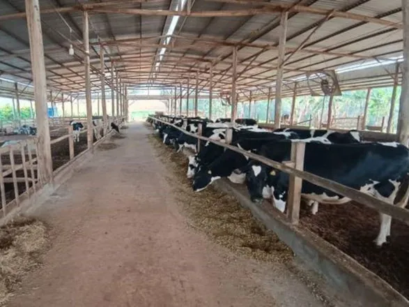 Capal promove desenvolvimento genético com projeto de inseminação artificial em SP