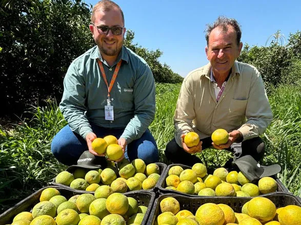 Rally Cocamar: Mercado solidário é fundamental para a sobrevivência dos pequenos produtores de laranja 
