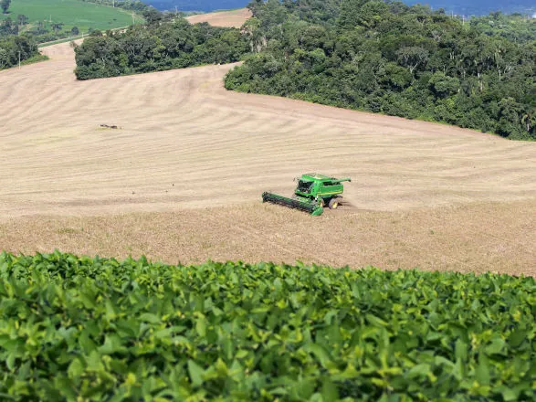 Área semeada e bom clima mantêm expectativa de safra recorde para o feijão no Paraná