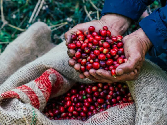 Em outubro, exportações do agro brasileiro batem recorde e alcançam US$ 14,27 bilhões