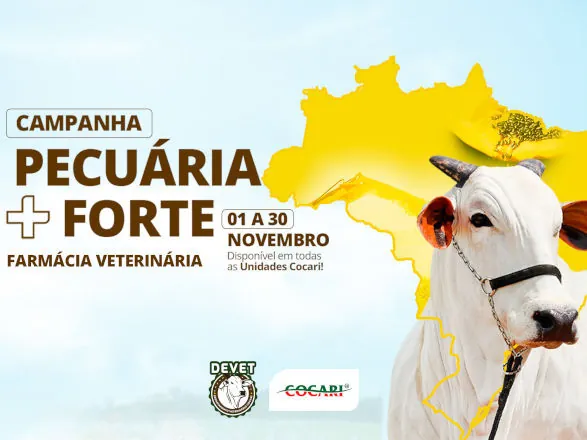 Cocari conta com Farmácia Veterinária em suas unidades e apoia manejo eficiente dos rebanhos