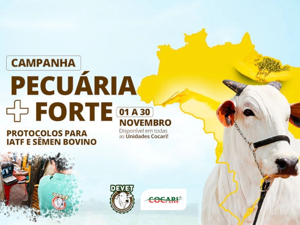 cocari pecuaria forte 22 11 2024