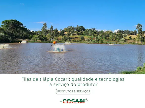 Filés de tilápia Cocari: resultado da qualidade e de tecnologias a serviço do produtor