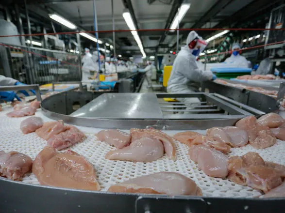Paraná lidera mercado de frangos no 3º trimestre; cresce a produção de leite, ovos e suínos