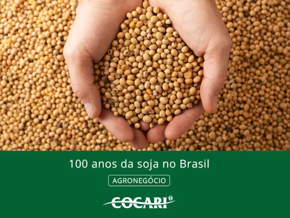 100 anos da soja no Brasil: uma história de transformação e sucesso