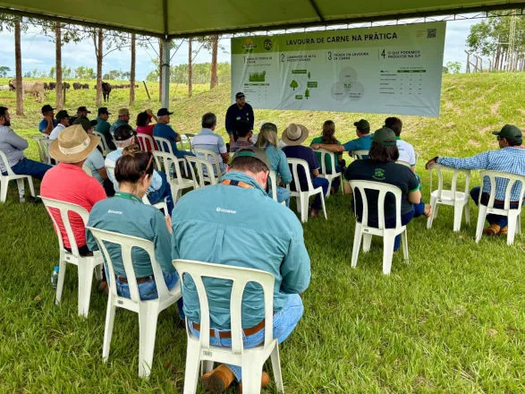 Cocamar: Dia de Campo em Iporã mostra que ILPF pode mudar a realidade da região 