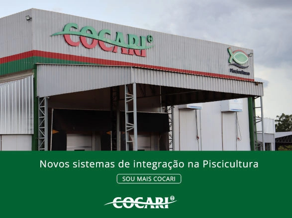 cocari 17 12 2024