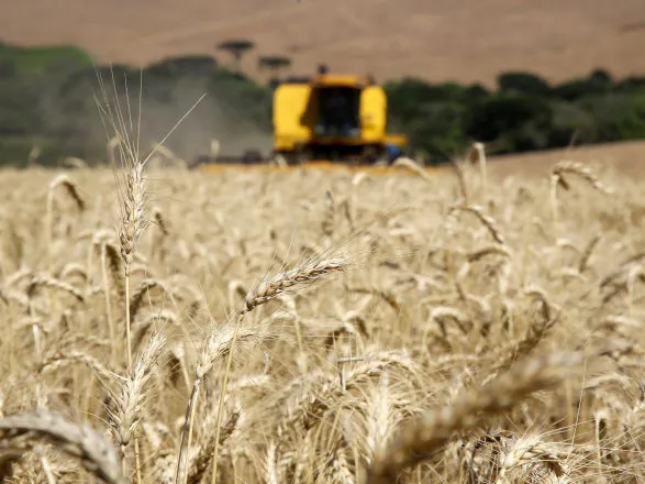 Adesão obrigatória da nota fiscal eletrônica do produtor rural é adiada para fevereiro 