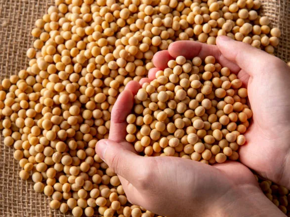 Exportações do agronegócio ultrapassam US$ 153 bilhões no acumulado de 2024