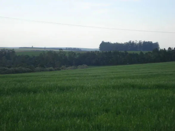 CMN ajusta normas sobre impedimentos sociais, ambientais e climáticos para concessão de crédito rural