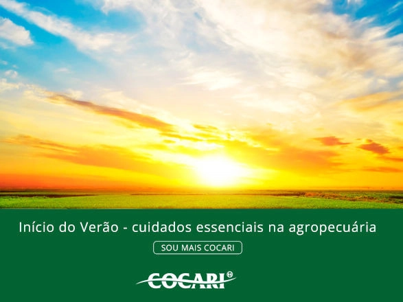 cocari I 20 12 2024