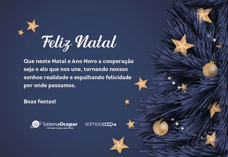 fim de ano 23 12 2024