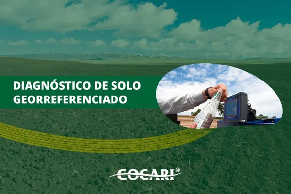 Diagnóstico de solo georreferenciado: precisão para um manejo eficiente