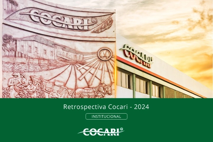 retrospectiva cocari 30 12 24