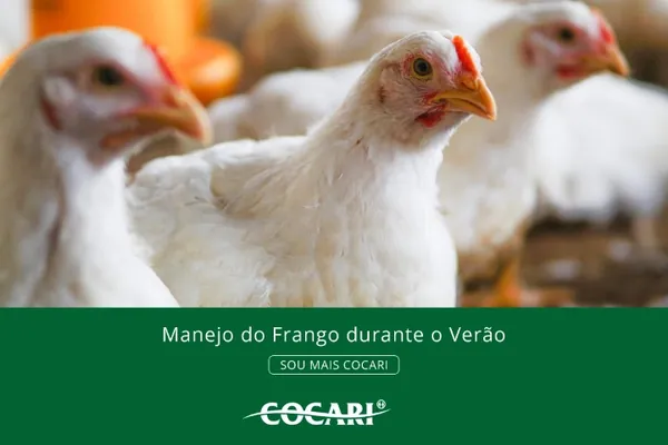 Manejo eficiente para resultados de excelência