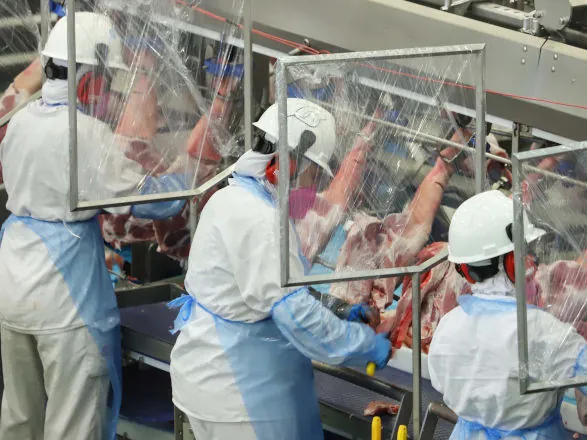 Exportações de carne suína crescem 10% e registram recorde em 2024