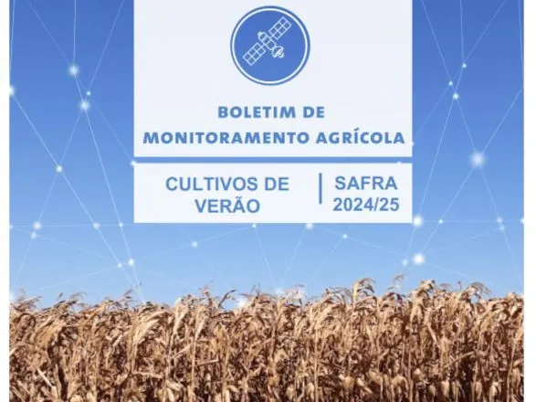 Monitoramento Agrícola: Bons volumes de chuva favorecem cultivos de primeira safra