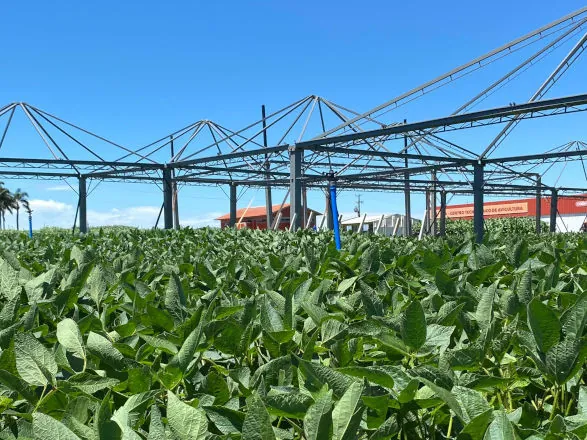 Dezoito montadoras já aceleram preparativos do 37º Show Rural