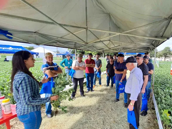 Unidade de Toledo promove Dia de Campo