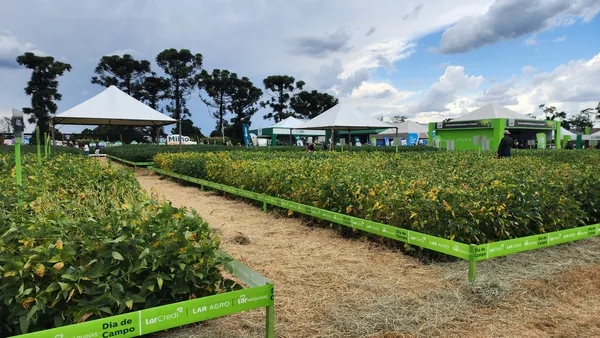 Sistema Ocepar visita Dias de Campo das cooperativas