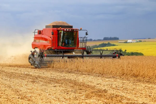 IBGE e Conab preveem crescimento entre 8% e 10% na safra 2024/2025
