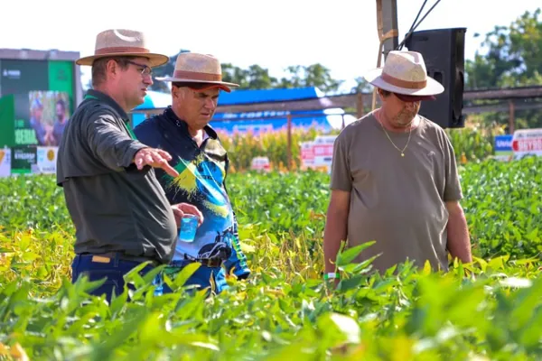 Dia de Campo Lar 2025: conhecimento, inovação e oportunidades para o agronegócio