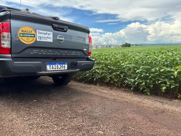 Chuvas melhoram as expectativas dos produtores, mas perdas já são consideradas