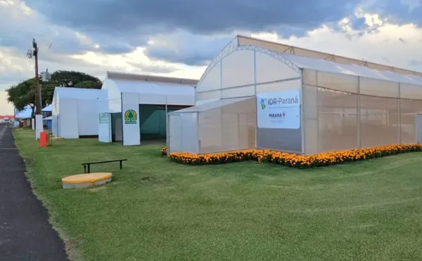 IDR-PR prepara novidades em área de 25 mil metros para o Show Rural