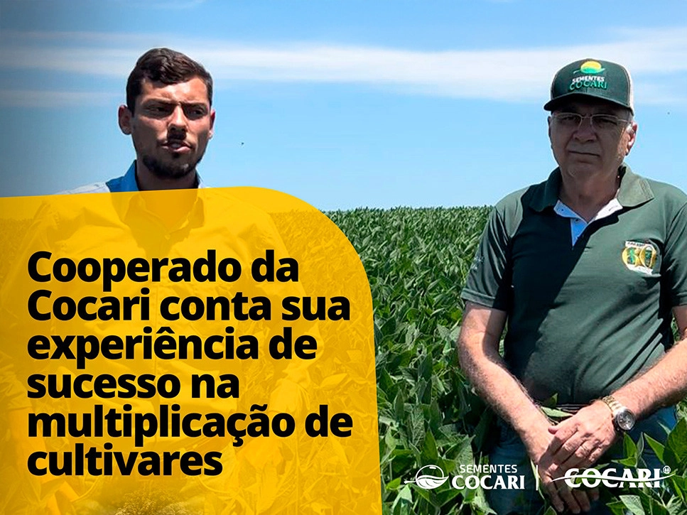 cocari 30 01 2025