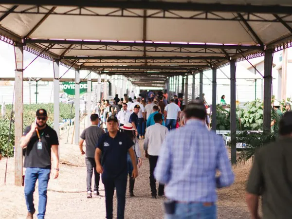 Cultivo do milho e da soja centralizam discussões do Dia de Campo de Verão 2025