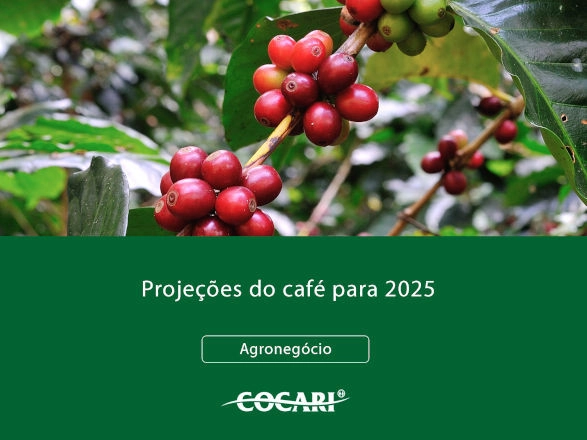 cocari II 04 02 2025