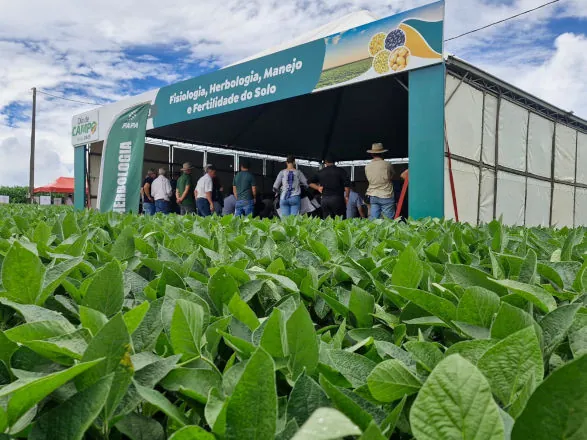 Cooperativa Agrária apresenta inovações no Dia de Campo de Verão 