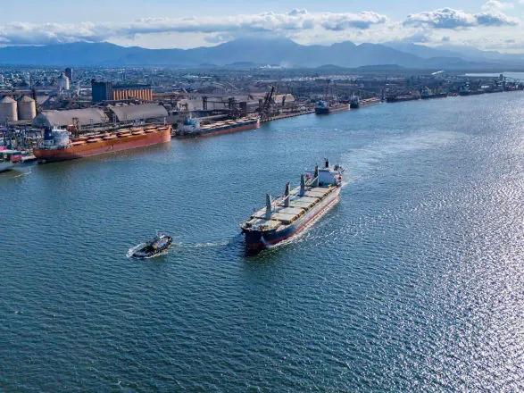 Paranaguá é maior porto exportador de óleo vegetal e frango congelado do Brasil